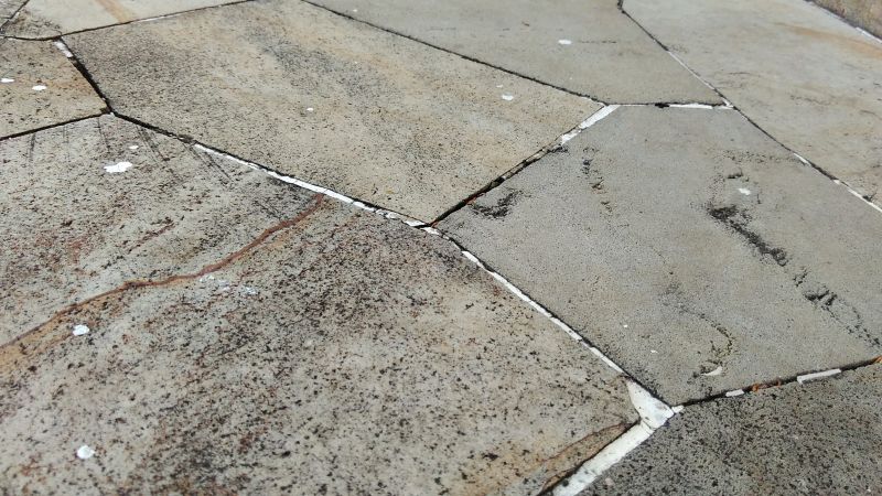 Natural Stone and Textured Surfaces
